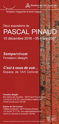PASCAL PINAUD Sempervivum. Du 10 décembre 2016 au 5 mars 2017 à SAINT-PAUL DE VENCE. Alpes-Maritimes. 